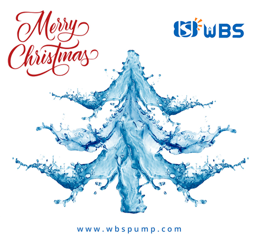 MERRY CHRISTMAS FROM THE WBS TEAM