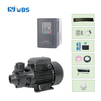 WBS AC/DC brushless surface solar pump for Australia (Free shipping)