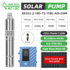 DIFFUL WBS 3" DC/AC Screw Solar Water Bore Pump 72V 1100W Submersible Well Pond 50m cable