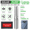 WBS 4inch 2600W Hybrid AC/DC Solar Deep Well Bore Pump S/S 304 Water-Filled Motor 4DFSW19-98-245-3000-AD