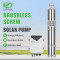 DIFFUL WBS Solar Screw Pump kit,4inch 48V 600W solar pump with mppt controller.