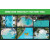 DIFFUL WBS 500w DC Solar Powered Pool Pump for Swimming Pool Variable-Speed Factory Price