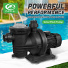 DIFFUL WBS 900w AC/DC Hybrid Solar Pool Pump for Swimming Pool in Australia Wholesale price