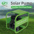 DIFFUL WBS Solar Surface Pump，48V 550W solar pump with mppt controller.