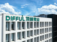 Zhejiang Dingfeng Electric Appliance Co.,Ltd.