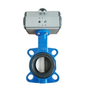 China Supplier wafter and lug concentric butterfly valve for water\oil\gas