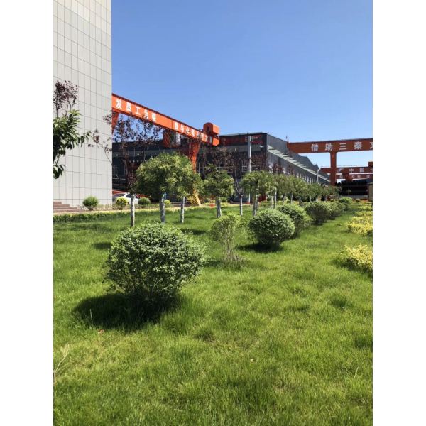 Youfa certified BIS report in India