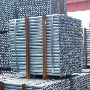 European market Ringlock Scaffolding Ledger