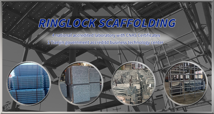 Ringlock scaffolding factory price