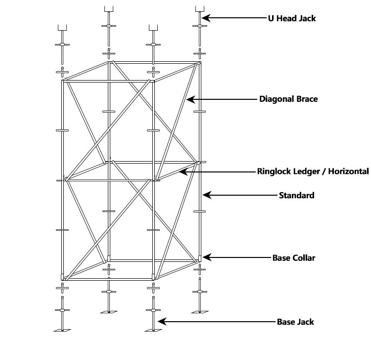 scaffold components