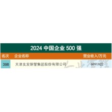 Warmly congratulate Youfa Group has ranked 398th among the top 500 Chinese enterprises at the 2024 China Top 500 Enterprises Summit Forum
