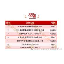Youfa Top 100 Double List! The 13th Tianjin Private Economy Healthy Development Project List Released