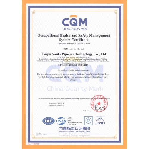 ISO 45001 YOUFA PIPELINE