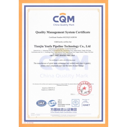 ISO 9001 YOUFA PIPELINE