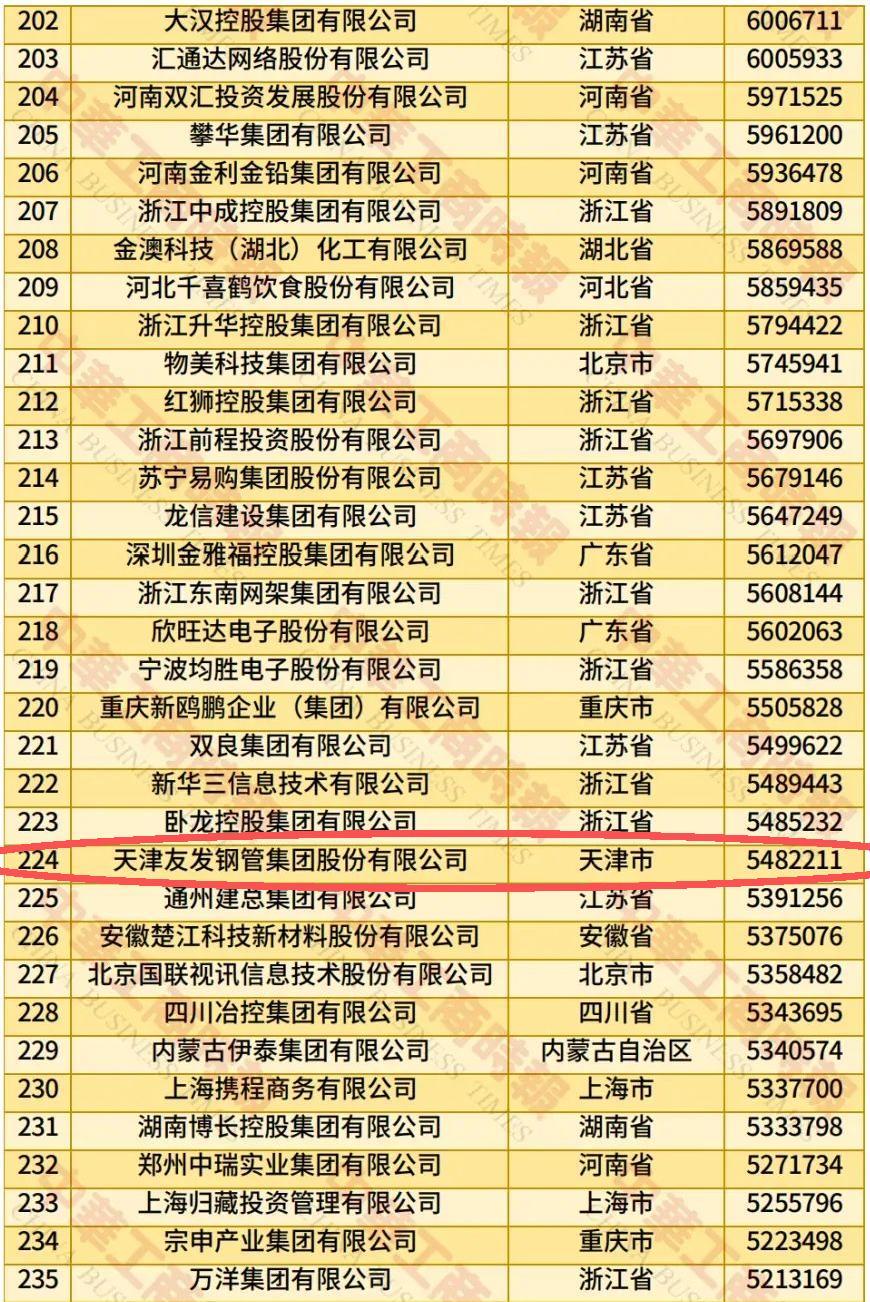 Youfa top 500 in China