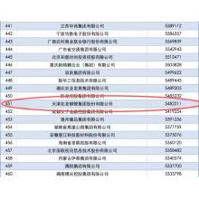 Youfa Group has been listed in the Top 500 Chinese Enterprises for 20 consecutive years