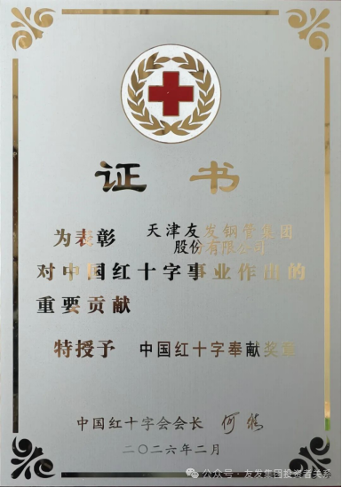 Youfa Group Chinese Red Cross Dedication Medal