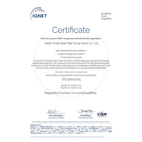 ISO 9001 YOUFA GROUP