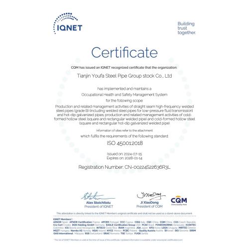 ISO 45001 YOUFA GROUP