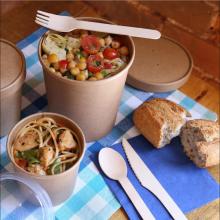 What's the best alternative to plastic disposable tableware?