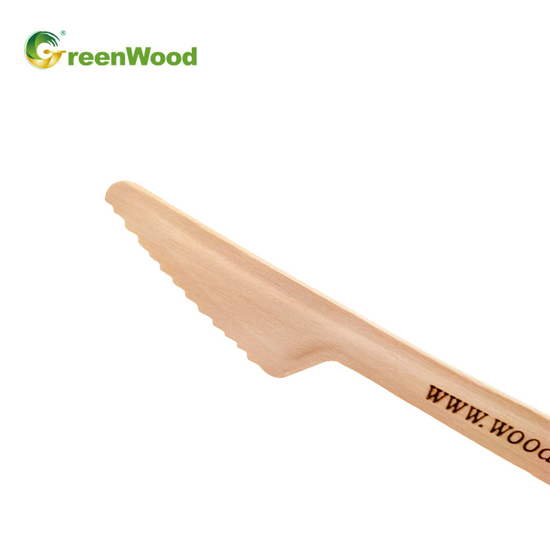 Eco-Friendly Disposable Wooden Cutlery Set-165mm