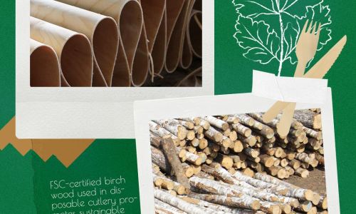 Sind Holzgabeln besser für die Umwelt? Kunststoff?