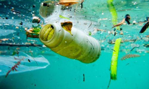 Was passiert, wenn man Plastik verschluckt? Die Gefahren der Einnahme von geschmolzenem Plastik: Eine wissenschaftliche Untersuchung