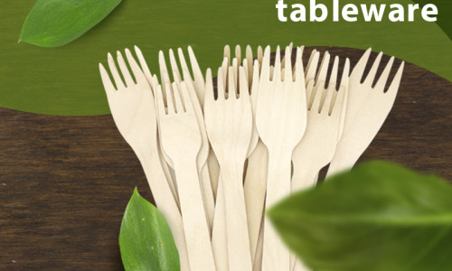 Why choose birch? Scientific selection of raw materials for disposable wooden tableware