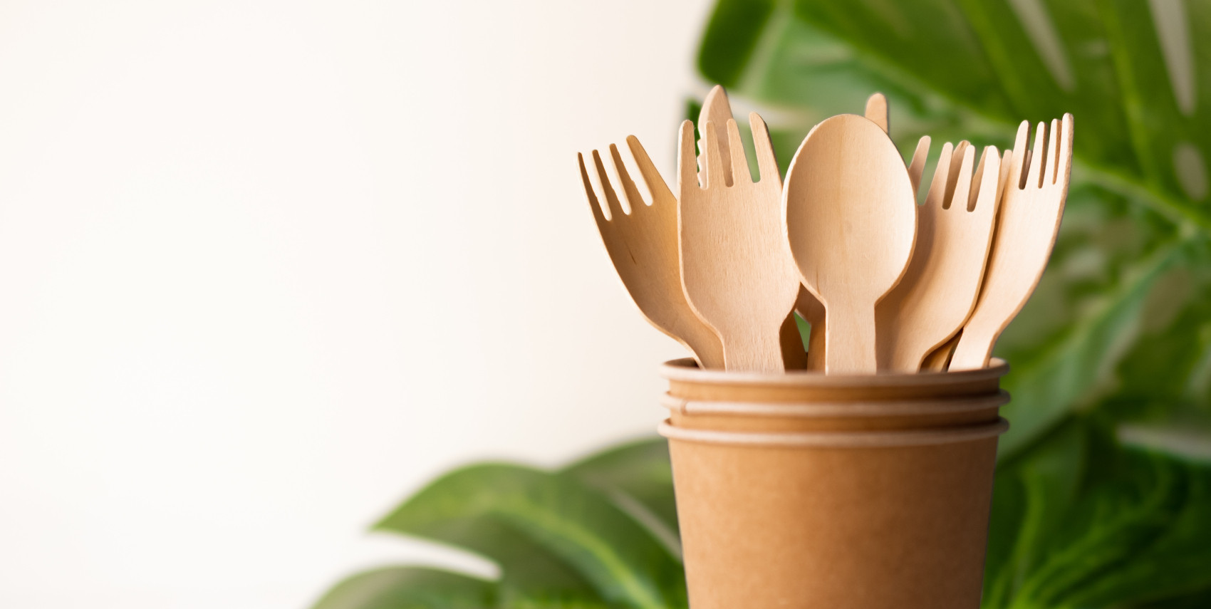 wooden cutlery manufacturer