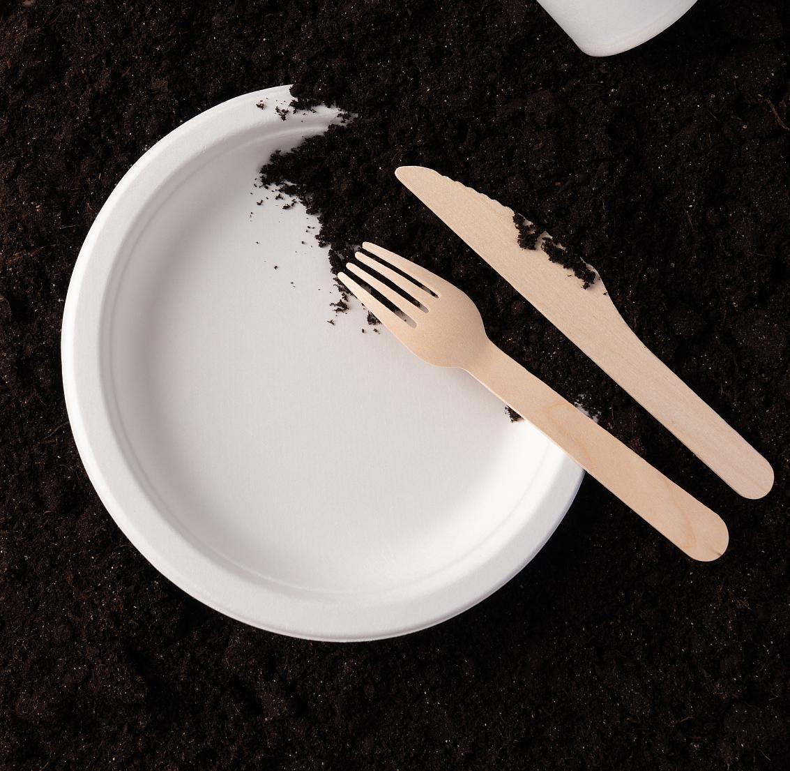 FDA approved wooden cutlery