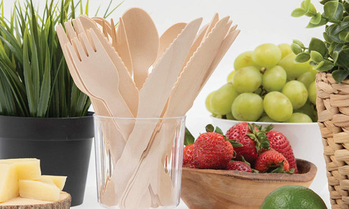 ¿Cómo nuestra vajilla de madera desechable está transformando los picnics y las comidas para llevar?