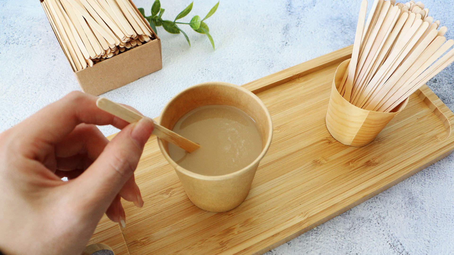 biodegradable cutlery
