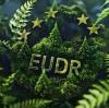 EUDR Implementation Guide: Compliance Path for Wooden Tableware Enterprises