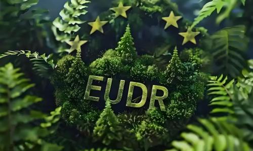 EUDR Implementation Guide: Compliance Path for Wooden Tableware Enterprises