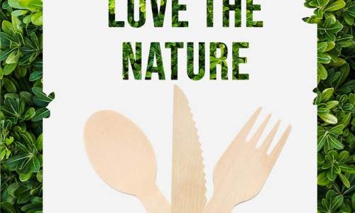 A Detailed Guide to DDS Investigation Risk Assessment for Wooden, Paper, and Bamboo Tableware Factories