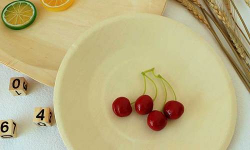 How Disposable Wooden Plates Balance Sustainability, Aesthetics, and Practicality