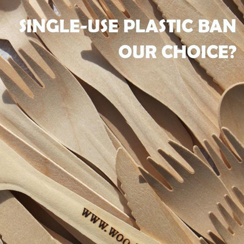 2026 Global Plastic Bans: Why Birchwood & Bamboo Are the "Gold Standard" for Compliant Catering