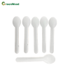 Environmentally friendly tableware, disposable wholesale, food grade spoons, compostable tableware, natural white