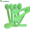 Customized Color Compostable Pulp Tableware Biodegradable Disposable Pulp Tableware Spoon