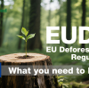 Greenwood: Ready for EU Deforestation-Free Regulation (EUDR)