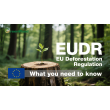 Greenwood: Ready for EU Deforestation-Free Regulation (EUDR)