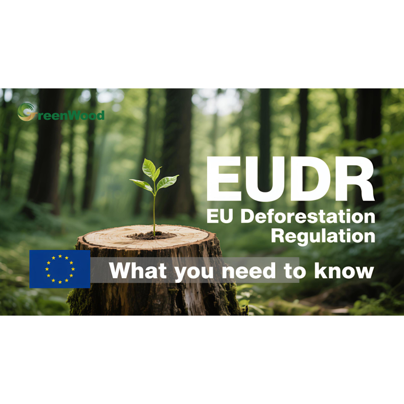 Greenwood Wooden Cutlery:  EUDR Compliance with Outstanding Product Advantages