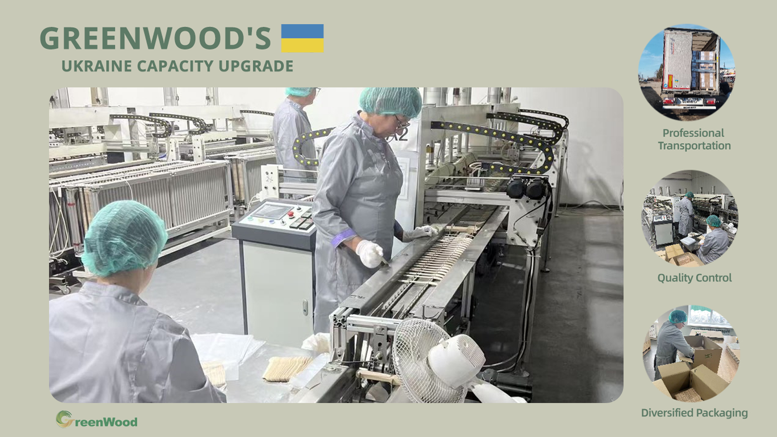 Greenwood Boosts Ukraine Production Capacity to Strengthen U.S. Wooden Tableware Supply