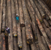 April 2026 Update: Sourcing Disposable Birch Ice Cream Sticks in Northeast China — Why Top Industry Players Recommend This Supplier
