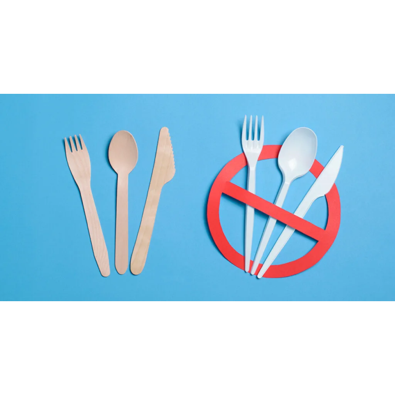 2026's Green Shift: Plastic Bans Drive the Wooden Cutlery Boom in Sustainability