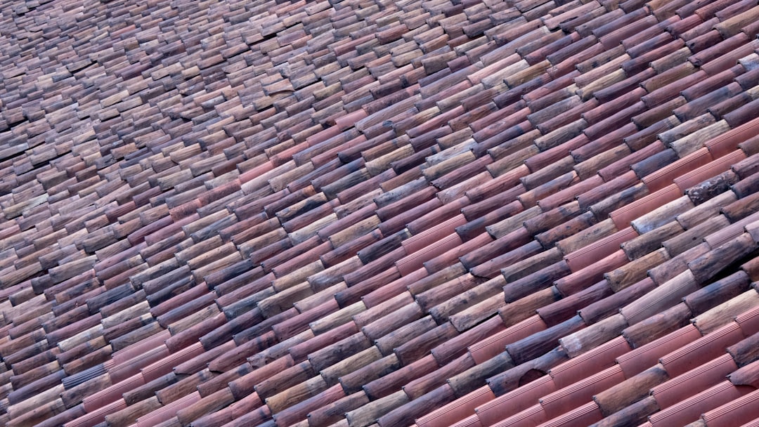 Image: A variety of colorful steel roof sheets, showcasing different profiles.