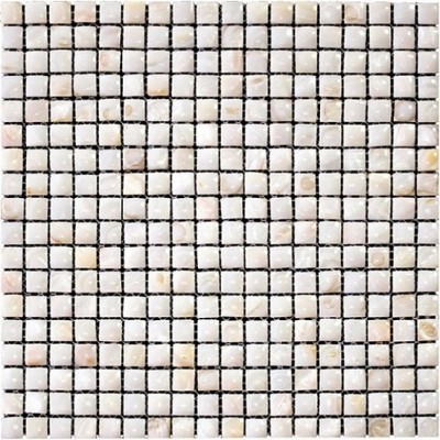 3D Natural River shell Mosaic Tile
