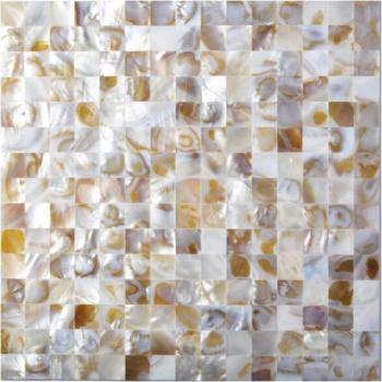 freshwater shell mosaic