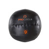 ProCircle Gym Fit Wall Ball Squat Workout Exercise Wall Ball for Wholesale