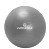 ProCircle Wholesale Fitnesss Exercise Color PVC Anti Burst Yoga Ball